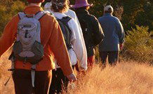 Mangrove Yoga Ashram - Hotel VIC 3