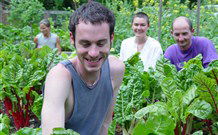 Mangrove Yoga Ashram - Hotel VIC 8