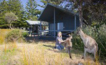 Murramarang Beachfront Nature Resort - Hotel VIC 10