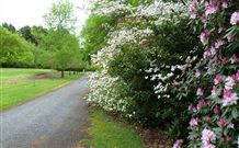 Laurel Hill Forest Lodge - Tumbarumba - Hotel VIC 1