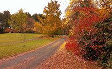 Laurel Hill Forest Lodge - Tumbarumba - Hotel VIC 3