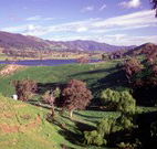 Motel Royal Tara - Binalong - Hotel VIC