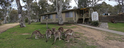 Kosciuszko Tourist Park - Hotel VIC 5