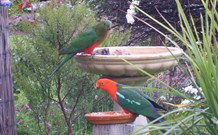 Valley View Motel Murrurundi - Murrurundi - Hotel VIC 4