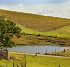 Sanctuary Hill Retreat - Hotel VIC