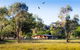 Starline Alpaca Farm Stay - thumb 2