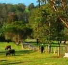 Giba Gunyah Country Cottages - Hotel VIC