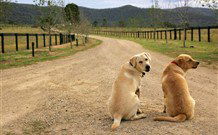 Pemberley Grange Hunter Valley Getaway - Hotel VIC 1