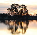 Myuna Bay Sport and Recreation Centre - Hotel VIC