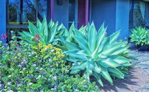 Retreat Homestead - Hotel VIC 0