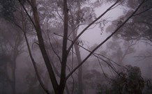 SeaChange Holiday Cottage And SeaStay Cottage - Hotel VIC 4