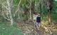 Berry Creek Bush Retreat - thumb 7