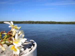 The Fishing Haven Holiday Park - Hotel VIC 0