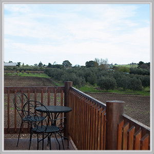 Wine Diva Tours - Hotel VIC 4