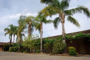 Darling Junction Motel - Hotel VIC 2