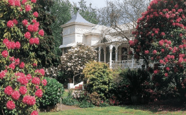 Anabel's Of Scottsdale - Hotel VIC 0