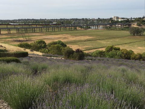 Brayfield Cottage - Hotel VIC 1