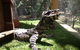 Beechworth Wildlife Stays - thumb 6