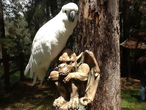 Beechworth Wildlife Stays - Hotel VIC 9