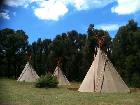Kinglake Forest Adventures Camp - Hotel VIC 0