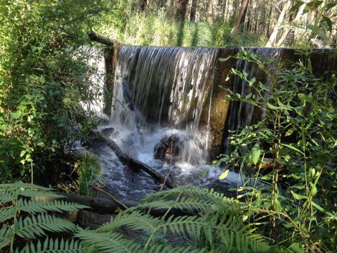 Kinglake Forest Adventures Camp - Hotel VIC 1
