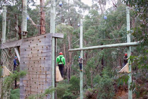 Kinglake Forest Adventures Camp - Hotel VIC 2