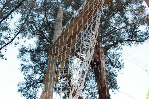 Kinglake Forest Adventures Camp - Hotel VIC 4