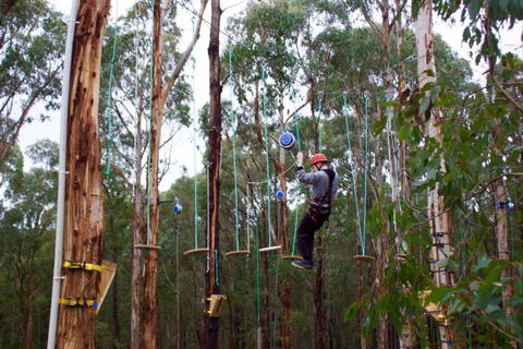 Kinglake Forest Adventures Camp - Hotel VIC 5