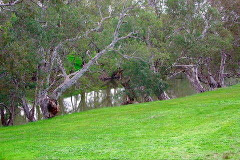 Yalooka Farm - Hotel VIC 4
