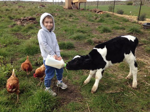 Yalooka Farm - Hotel VIC 8