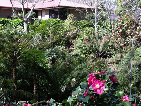 Adelaide Hills B&B Accommodation - Hotel VIC 6