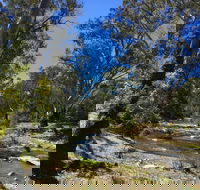 Highfield Farm and Woodland Bush Campsites - Hotel VIC