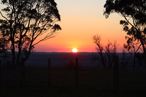 Abercrombie Ridge - Hotel VIC 8