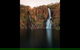 Hideaway Litchfield - thumb 5
