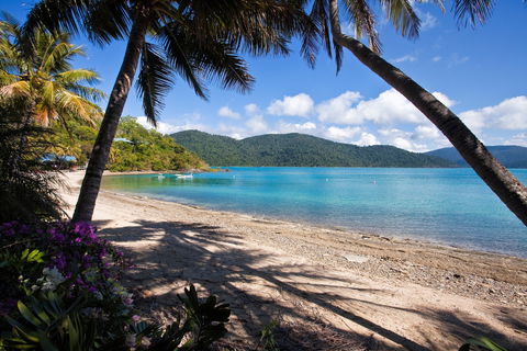 Palm Bay Resort - Hotel VIC 2
