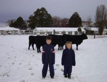 San Michele Resort - Hotel VIC 4