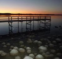 Lake Clifton Caravan Park - Hotel VIC