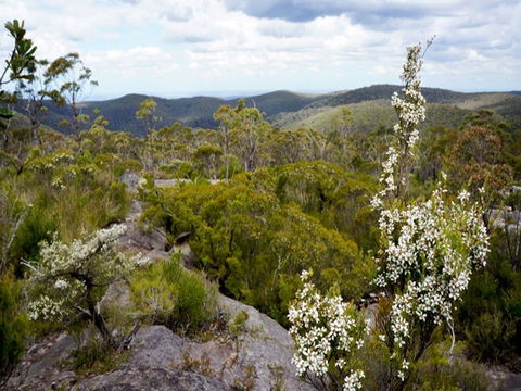Murphys Glen Campground - Hotel VIC 1