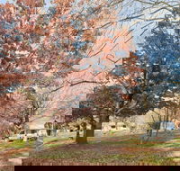 Tumbarumba Caravan Park