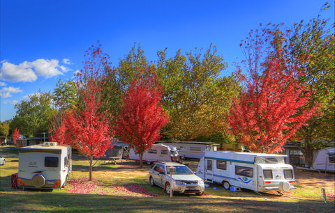 Beechworth Lake Sambell Caravan Park - Hotel VIC 0