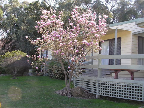 Annies Holiday Units - Hotel VIC 0