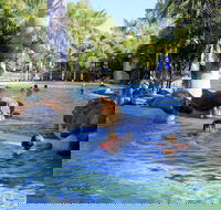 Big4 Aussie Outback Oasis Holiday Park - Hotel VIC