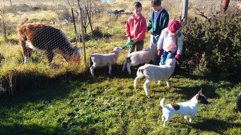 Dairy Park Farm Stay Bed And Breakfast - Hotel VIC 2