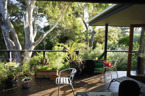 Kookaburra Dreaming - Hotel VIC 2