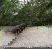 Springbrook National Park camping