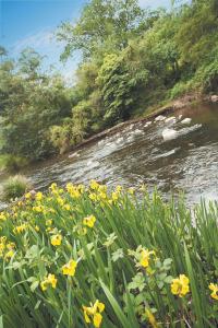 Grange Yarra Valley - Hotel VIC 4