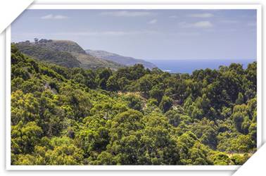 Chris's Beacon Point Restaurant And Villas - Hotel VIC 3