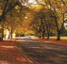 La Trobe at Beechworth - Hotel VIC