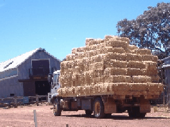 Avondale Discovery Farm - Hotel VIC 1