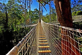 Book North Tamborine QLD Attractions Hotel VIC Hotel VIC